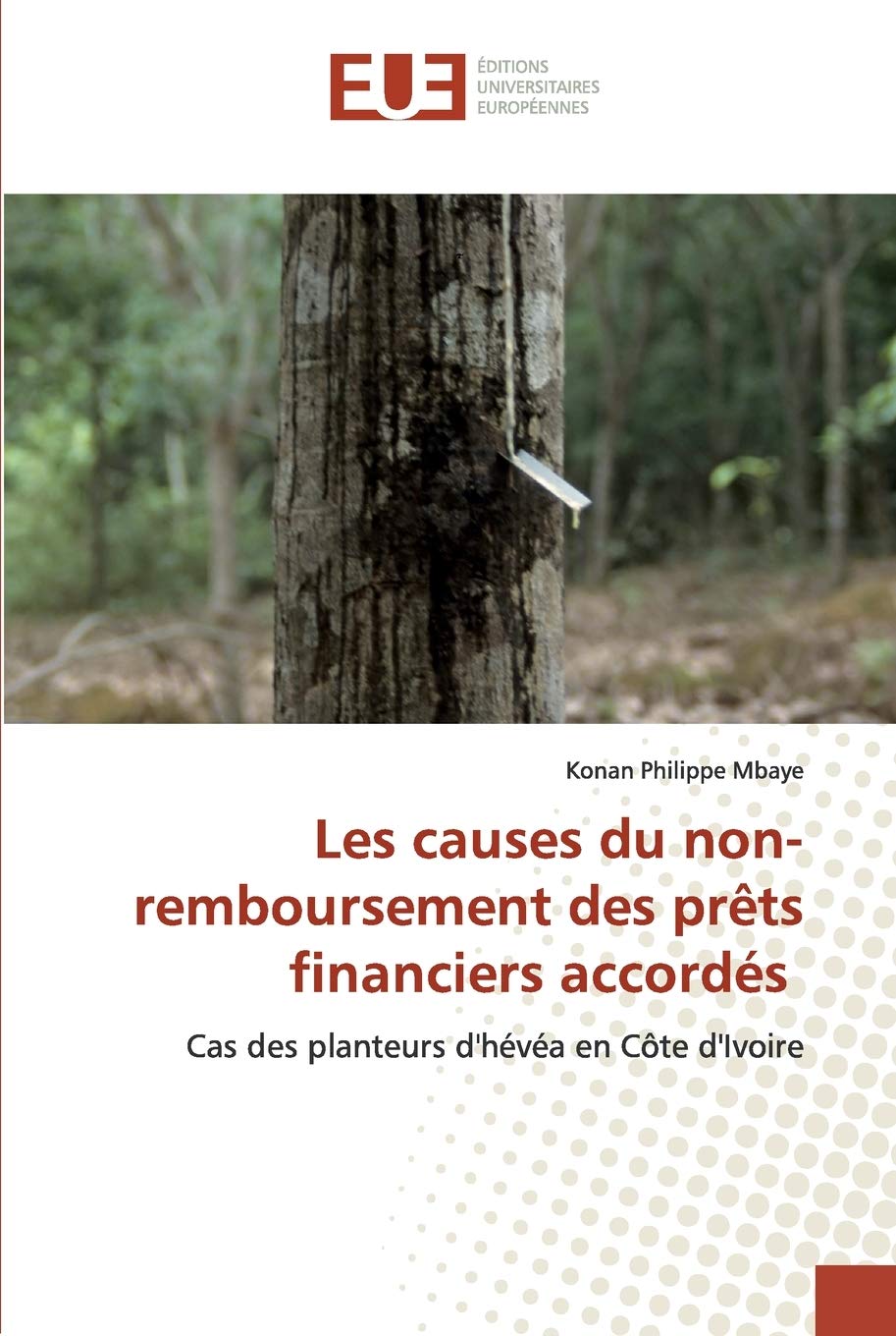 Les causes du non-remboursement des prêts financiers accordés