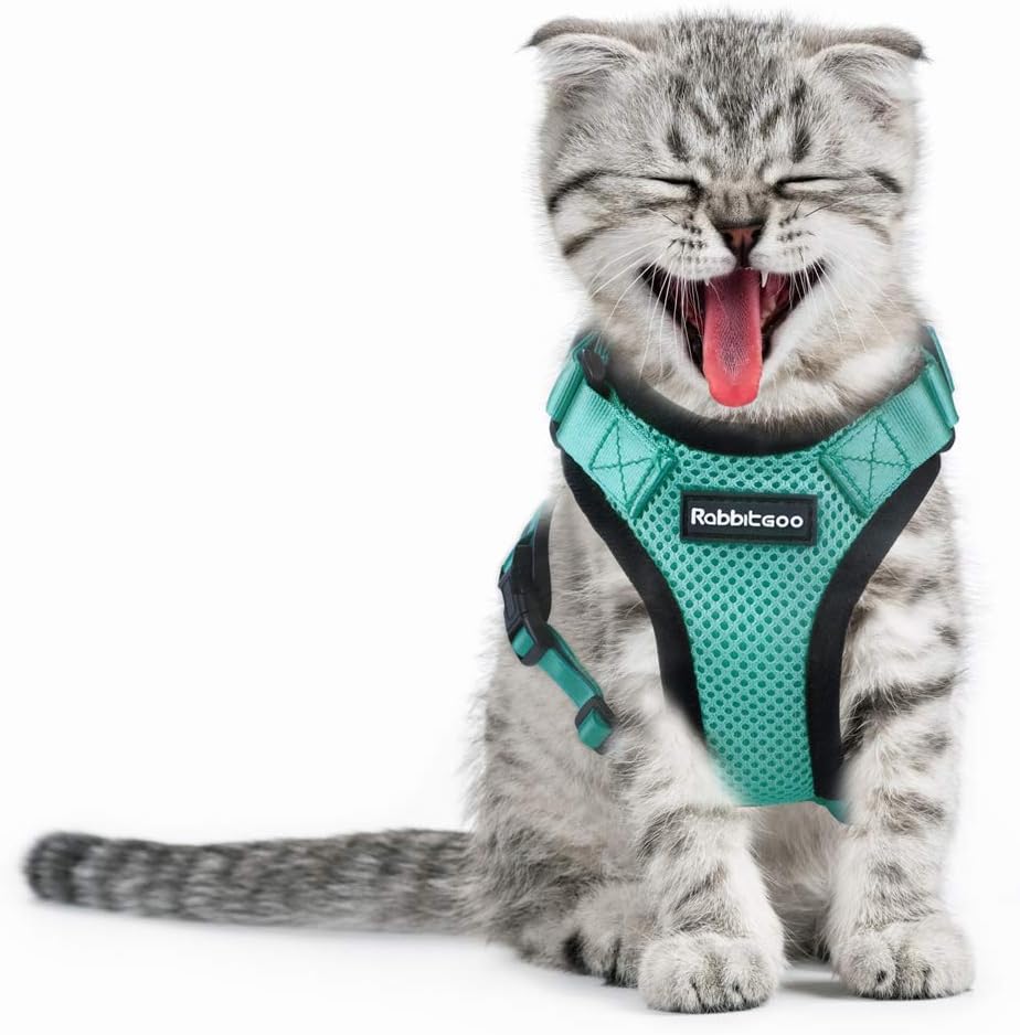 rabbitgoo Escape Proof Cat Harness Small Kitten Mesh Vest Harnesses