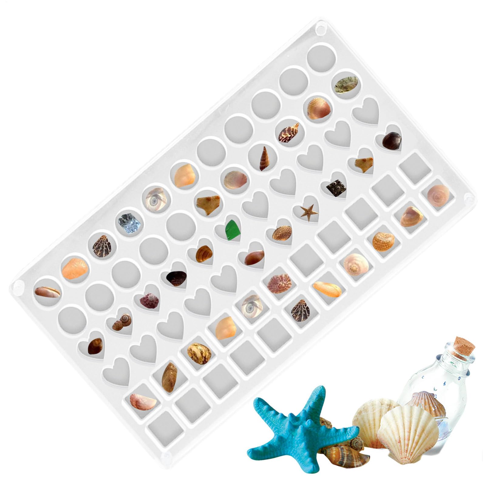 Organiseur de bijoux coquillage en acrylique transparent à 66 compartiments