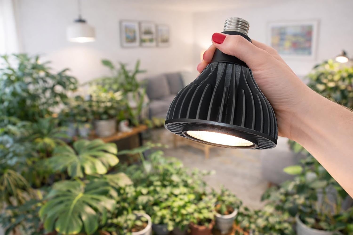 Grow Lights for Indoor Plants, 40W LED Full Spectrum Grow Bulb, 3000K Warm White (E26/E27), CRI 97+, Non-Dimmable, for Houseplants in Low-Light Rooms, Black