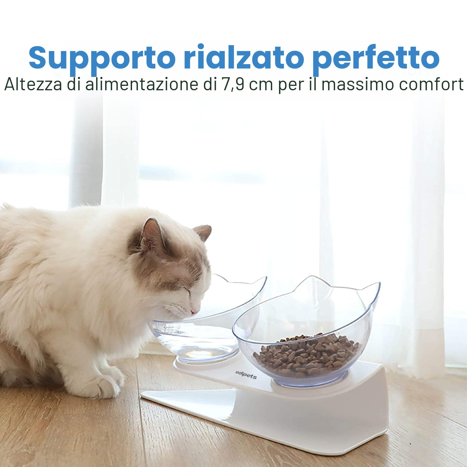 Edipets, Ciotole per Gatti Rialzate, Ciotola Gatto, Acqua e Cibo, Trasparente, Aiuta a Ridurre la Pressione sulle Vertebre (Trasparente)