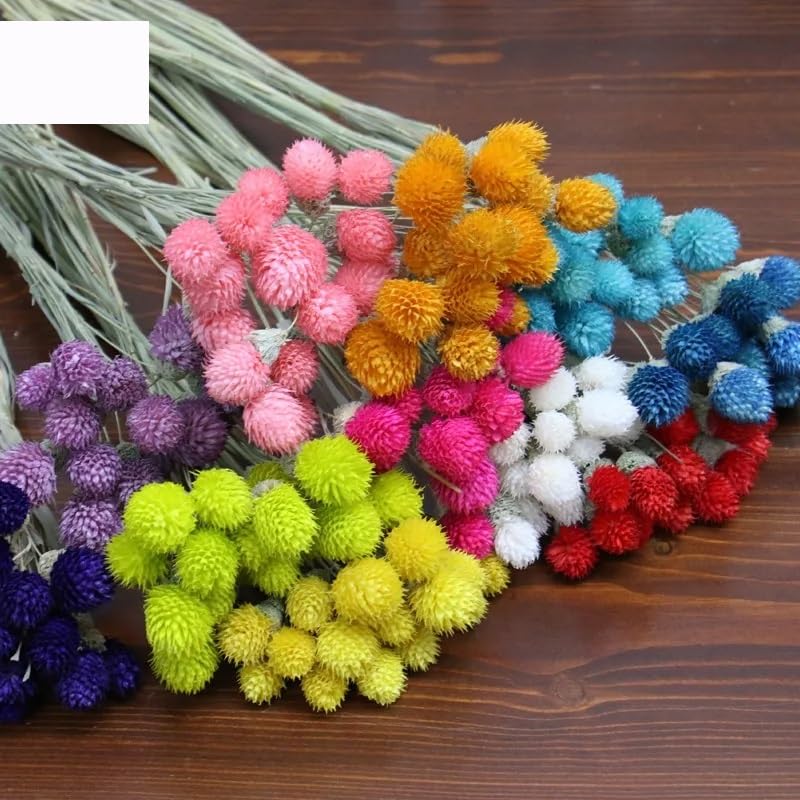15 Pzs Ramo de Flores Secas Naturales Decoración Navideña miniatura 4