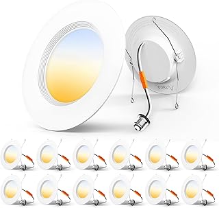 Amico 5/6 inch 3CCT LED Recessed Lighting 12 Pack, Dimmable, Damp Rated,...