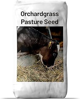 Outsidepride Perennial Pasture Grass Seed