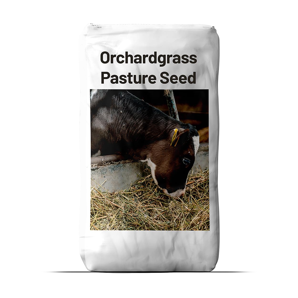 Outsidepride Grazer Orchard Pasture Grass Seed - 25 Lbs. Perennial, Drought & Shade Tolerant, Winter Hardy Fescue Seed for Hay, Grazing, Silage, Greenchop, Goat Feed, & Lawn Use