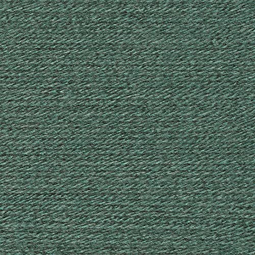 Image of Lion Brand Yarn (1 Skein) Vanna's Choice Yarn, Sage (Pack of 3)