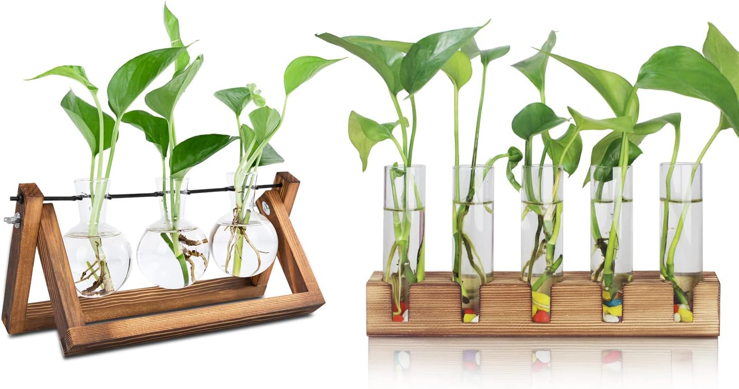 Renmxj Plant Propagation Station, 3 Bulb with 5 Test Tube