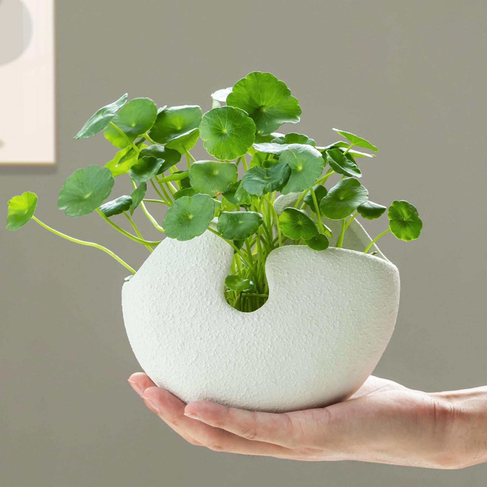 Set Di 2 Vasi In Ceramica Con Piattino, Enchanted Talavera, Dipinti A Mano, Per Piante Grasse, Cactus, Altezza 14 Cm, Colore Calendula