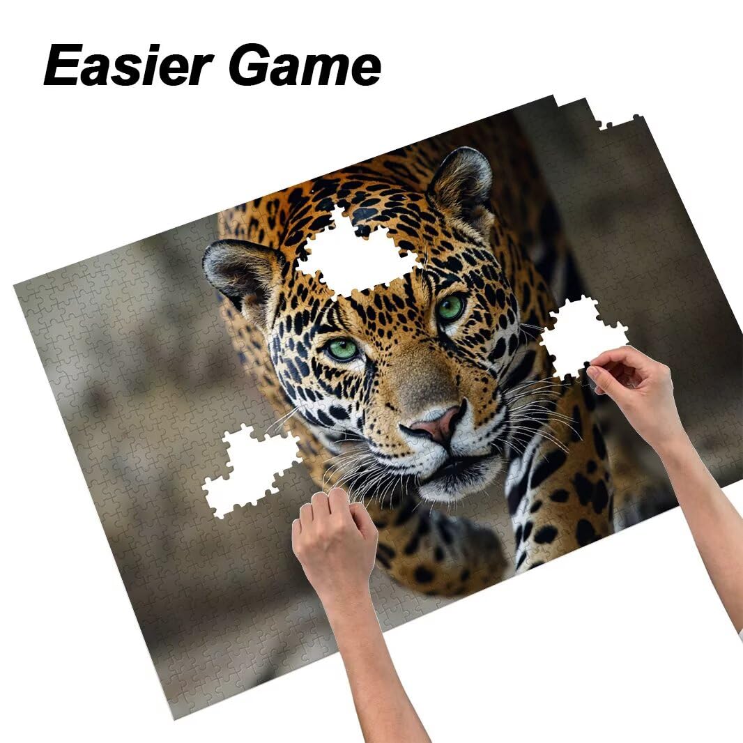 Puzzle 2000 Pezzi, Puzzle Leopardo per Adulti, 100x71cm, Compact Box -4580