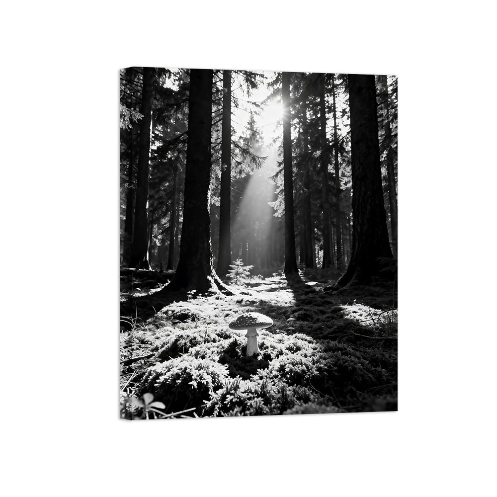 Black White Landscape Wall Art. Tree Sunshine 3. Picture 90x117cm Unframed