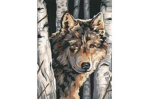 Dimensions Paint by Number Kit for Teens: Wolf Among Birches