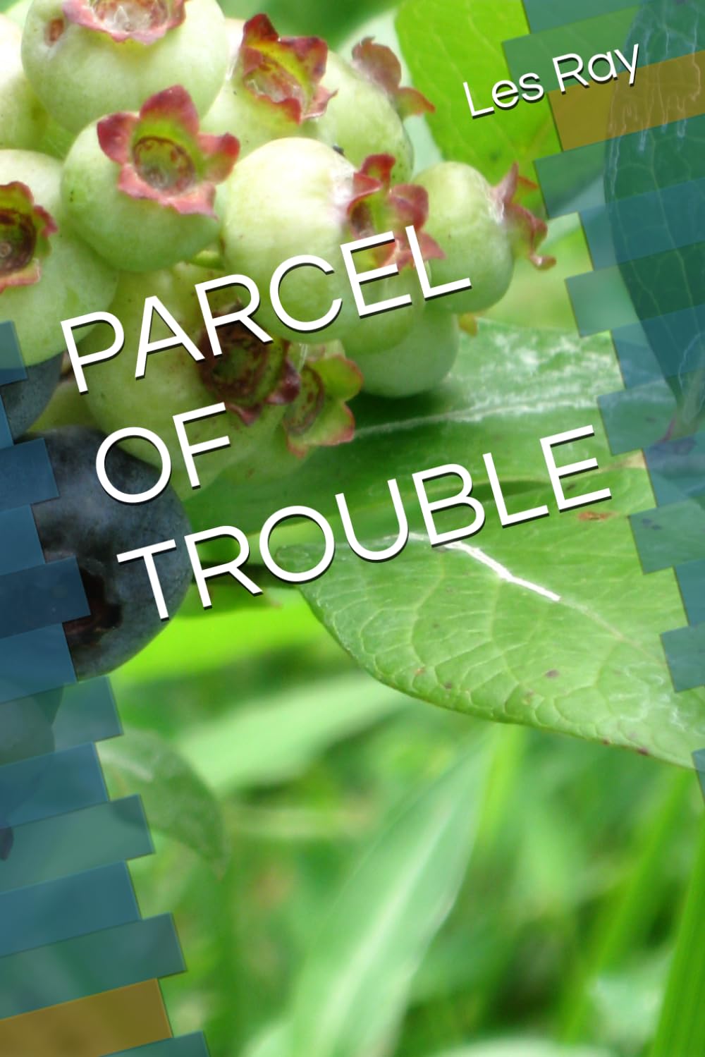 PARCEL OF TROUBLE