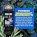 AXE Phoenix Deodorant 48H Odor Protection Crushed Mint & Rosemary Aluminum Free Deodorant for Men 3 Ounce (Pack of 4)