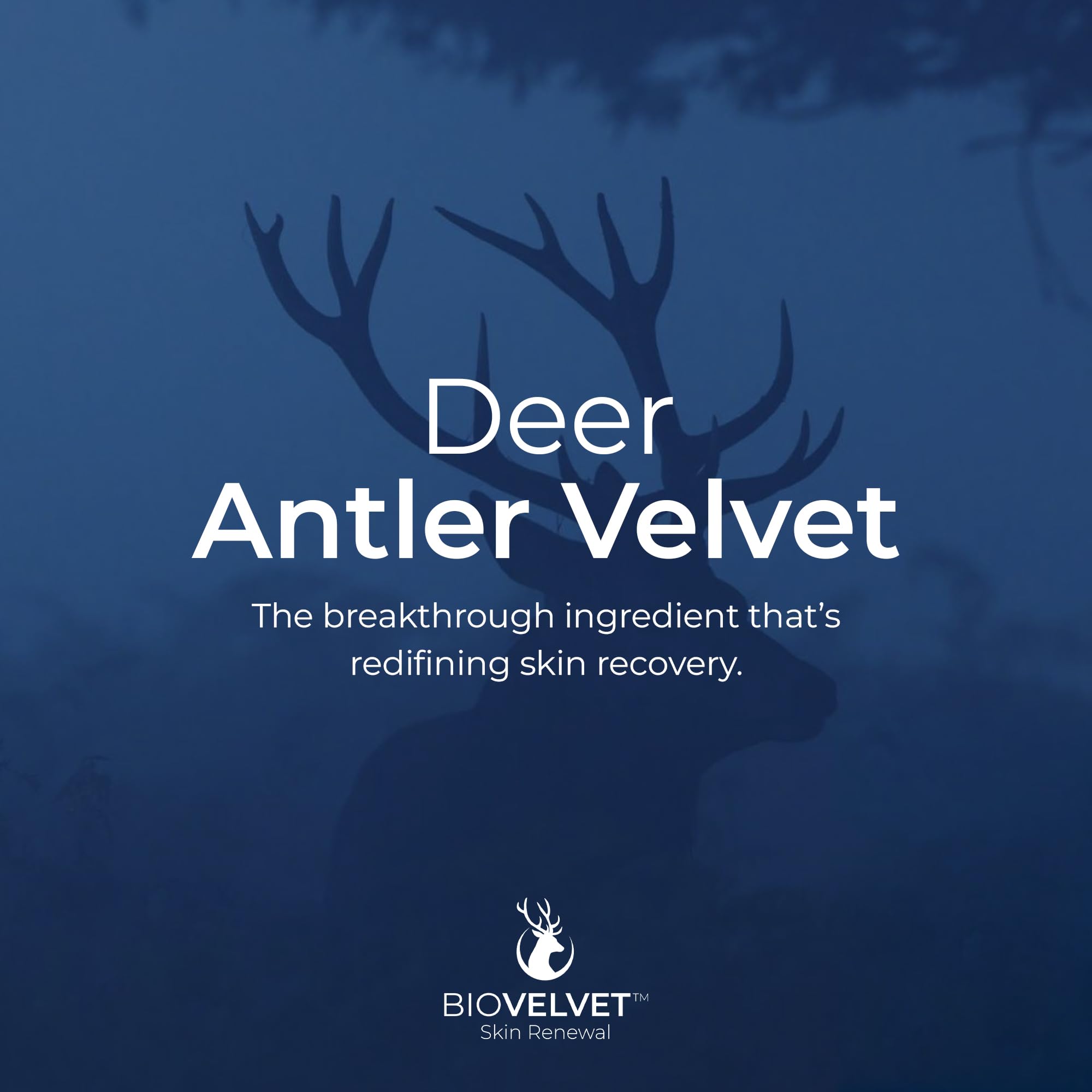 Deer Antler Scar Cream with Aloe & Dead Sea Minerals, 1.7 oz — Amazon image 7