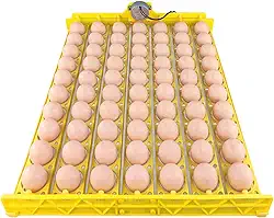 Jiawu Bandeja automática para virar ovos, mini chocadeira com motor, 70 ovos, bandeja para virar ovos, ferramenta para chocar ovos de galinha, pato, codorna