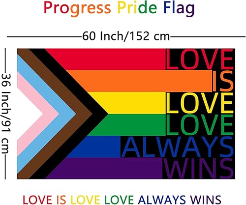 Vista 2 de ChillOutPal Bandera del orgullo del progreso de 3 x 5 pies, LGBTQIA+ bandera de jardín impermeable de poliéster con colores vibrantes para desfiles