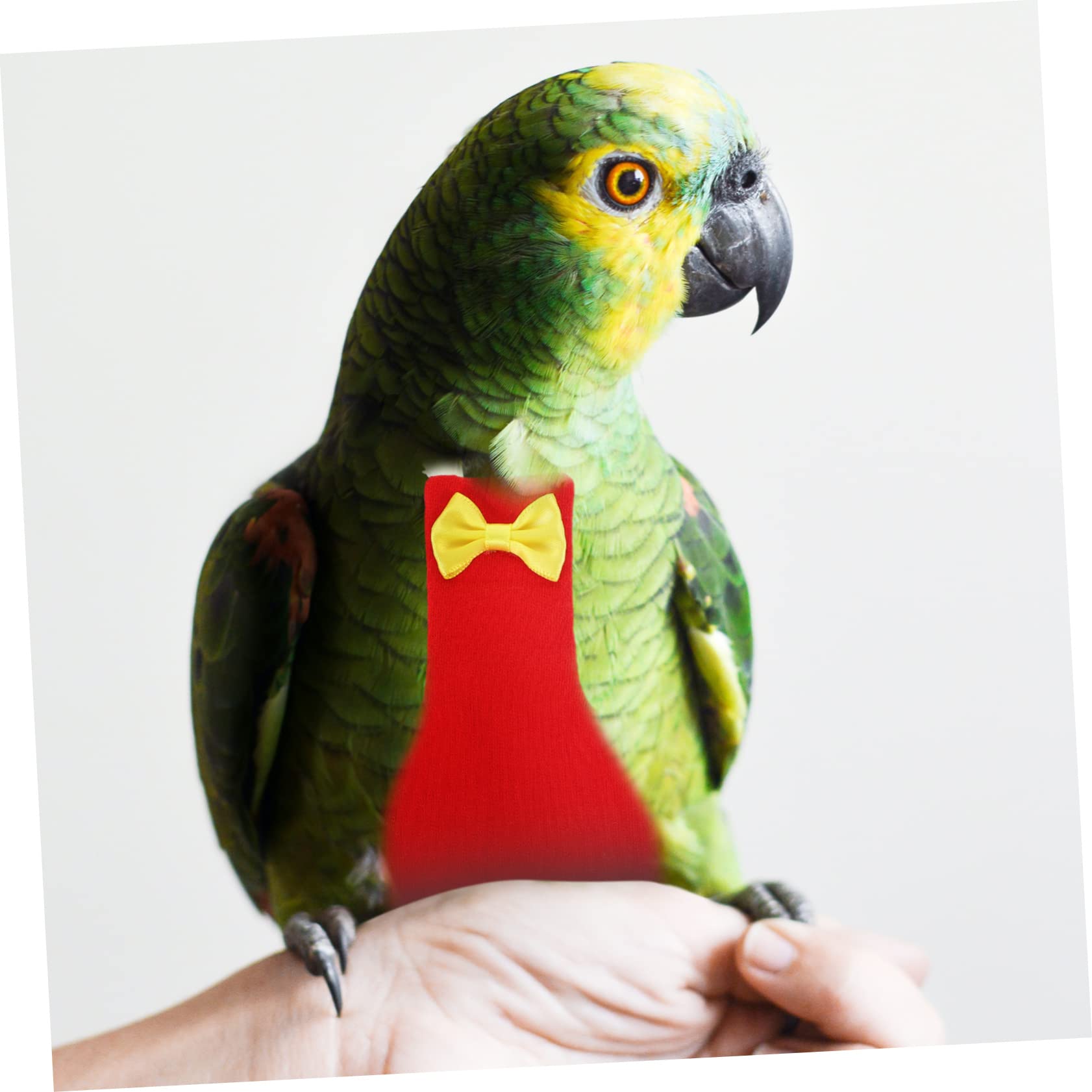 POPETPOP 2 Stuks Luiers Voor Vliegende Vogels Vogelkleding Voor