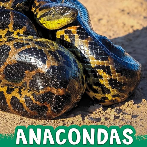Anacondas : Jaclyn Jaycox episode artwork
