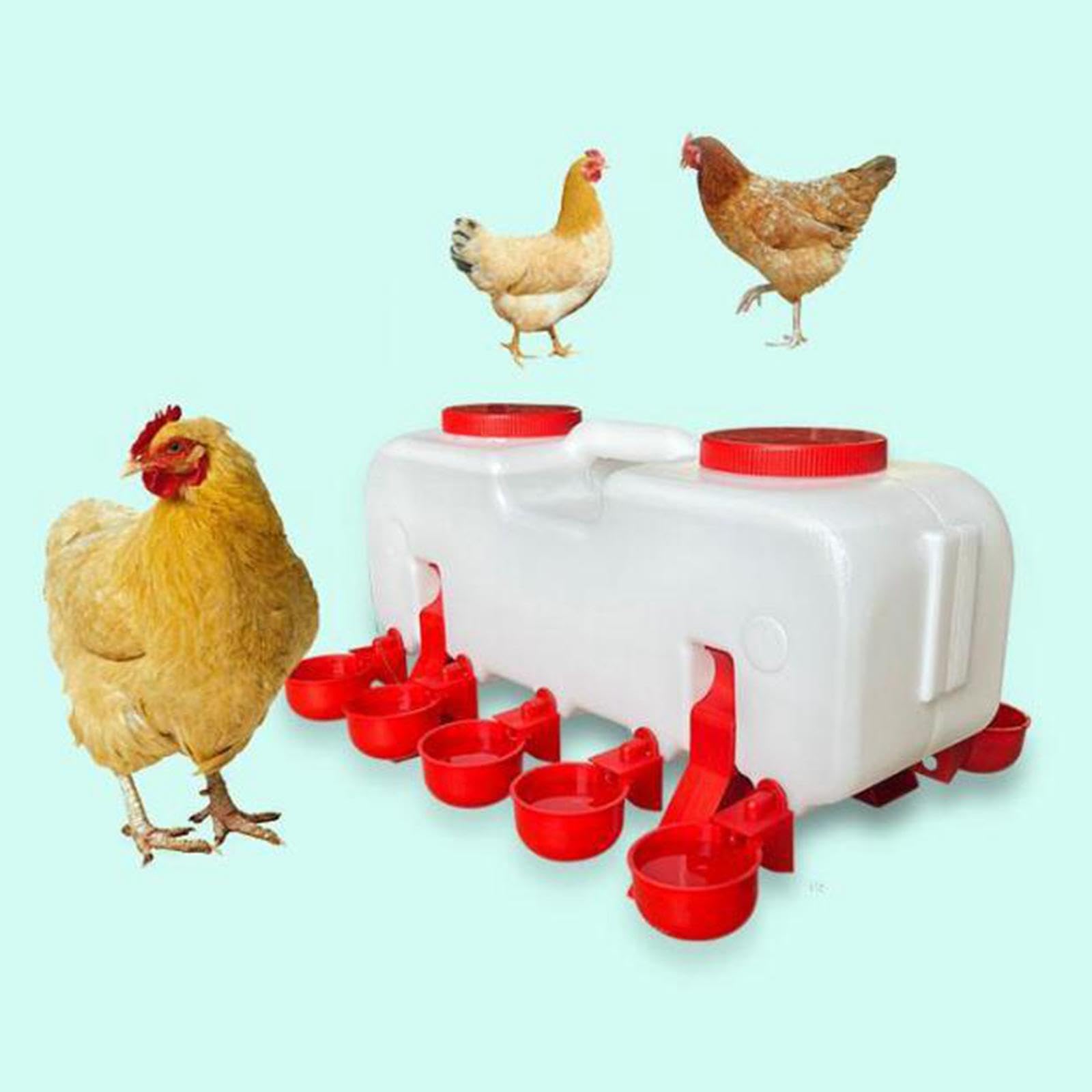 Abreuvoir de qualité supérieure pour Canards, Automatique, S