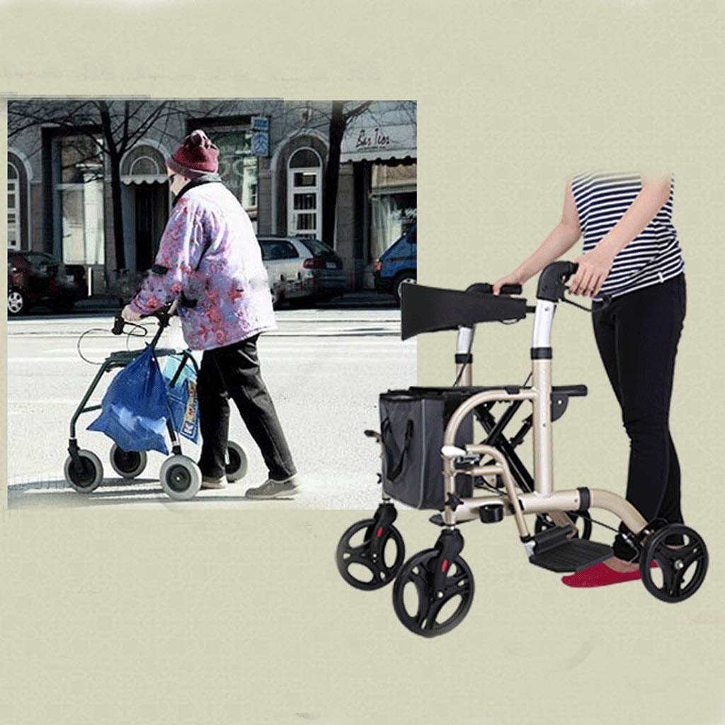 Deambulatore Picasso, Deambulatore e Sedia a Rotelle per Anziani, 2 in 1, Deambulatore per Anziani e Disabili, Freni sulle Maniglie kxtmm