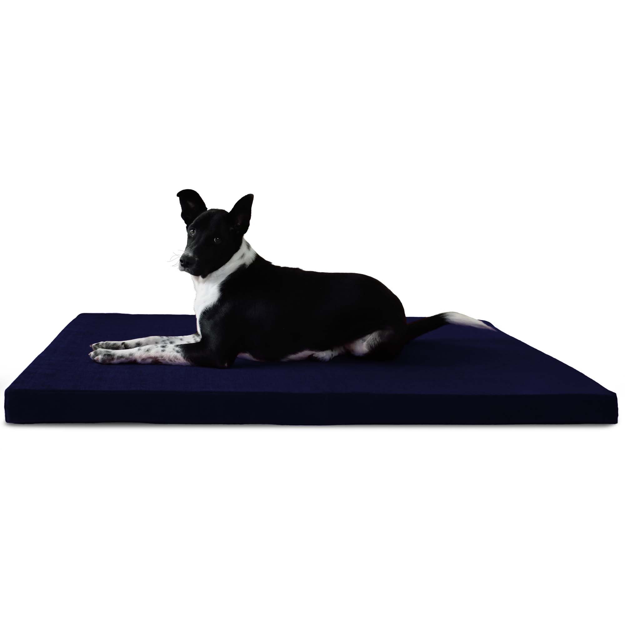 Prazuchi - Handcrafted Perfection Orthopedic Dog Bed- Orthopedic - Water Resistant - Waterproof- 36"x26"- for Medium to Large Dogs- Luxury- Navy Blue (B07FS45TW9) Amazon Price History, Amazon Price Tracker