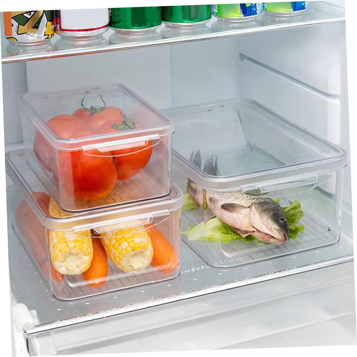 Homoyoyo Caja de Almacenamiento para Refrigerador Pet Transparente 3 Piezas | Apilable, Resistente al Desgaste, para Frutas y Alimentos, Uso en Cajón y Congelador