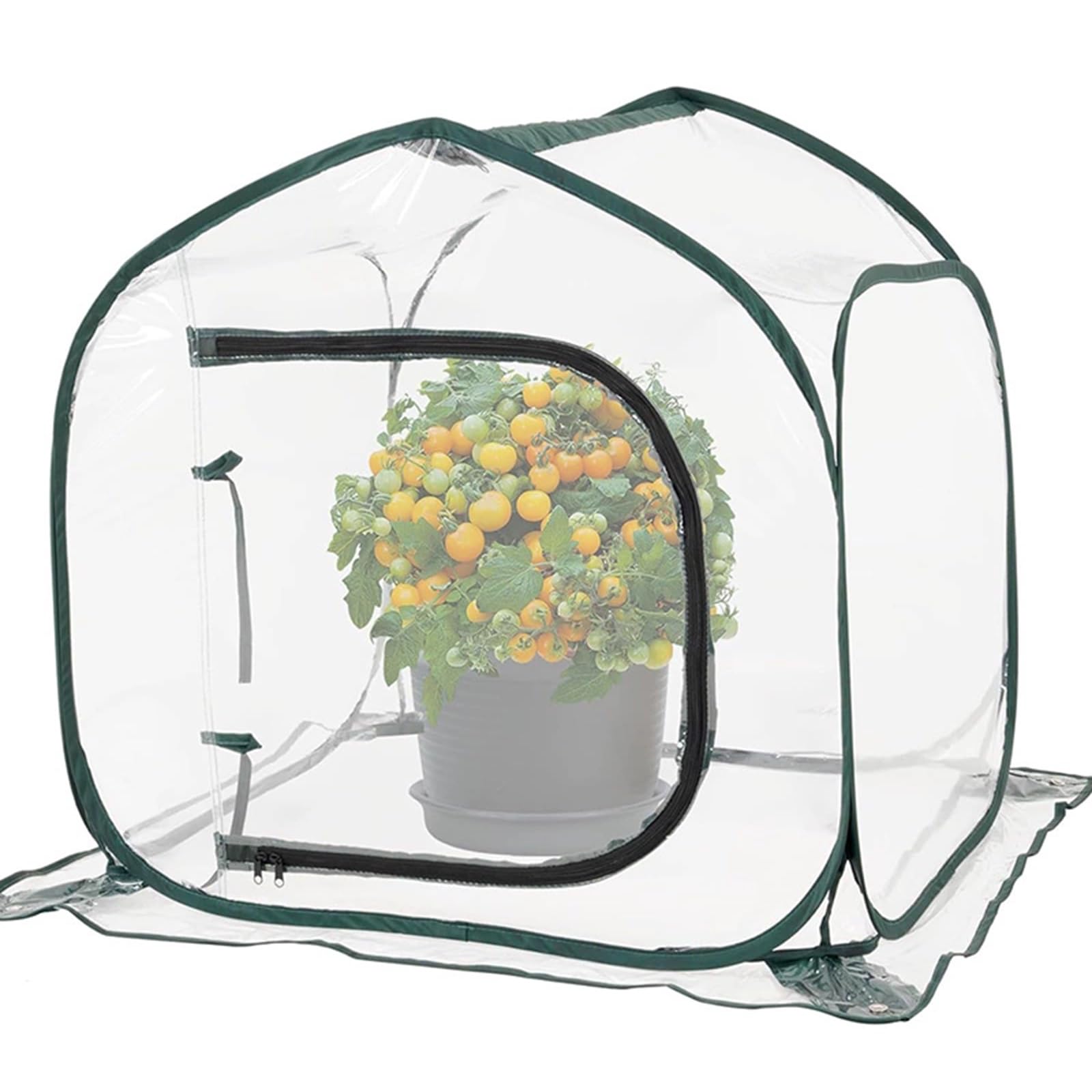 Mini serra pop-up, realizzata in materiale PVC impermeabile, idratante d'estate, mantiene al caldo d'inverno, disponibile per interni ed esterni