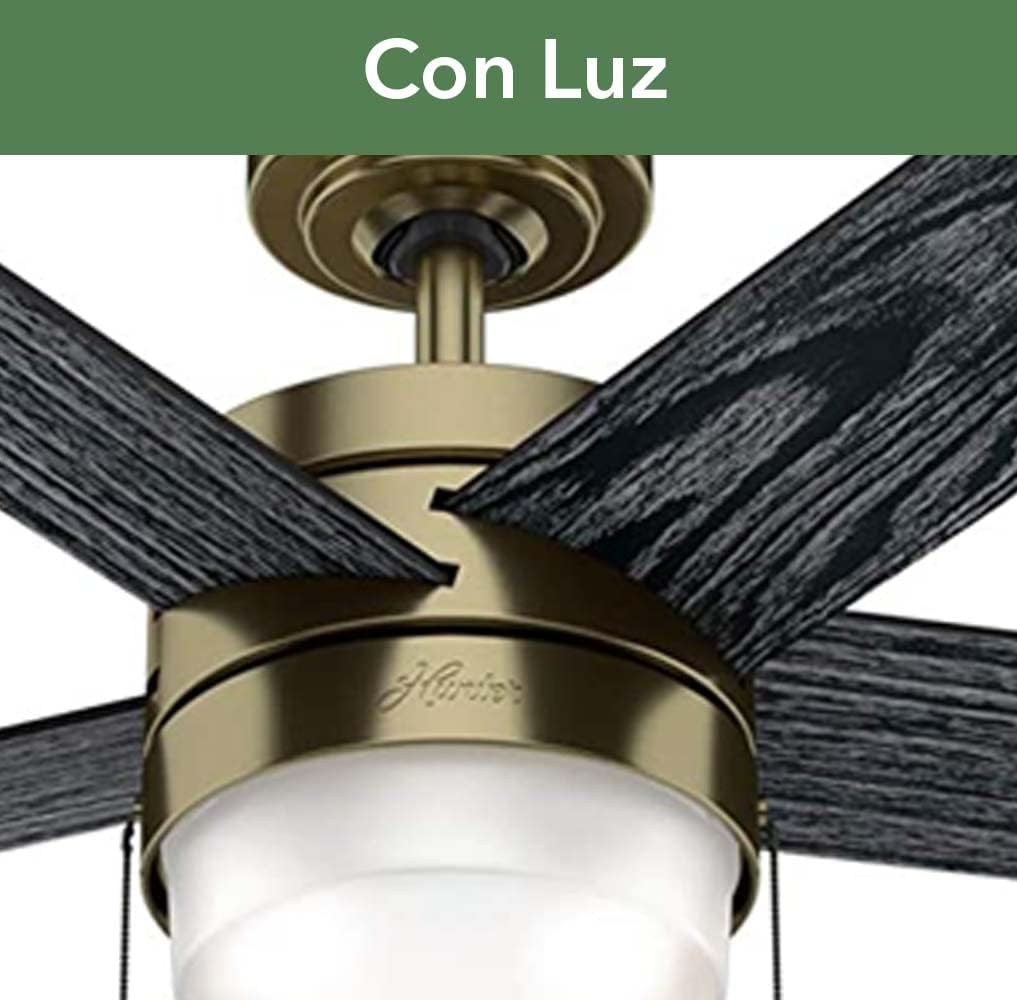 Onе-Dау Sаlе: Uр tо 80% оƒƒ Hunter Fan Company 59622 Claudette Ceiling Fan, 52, Modern Brass Finish