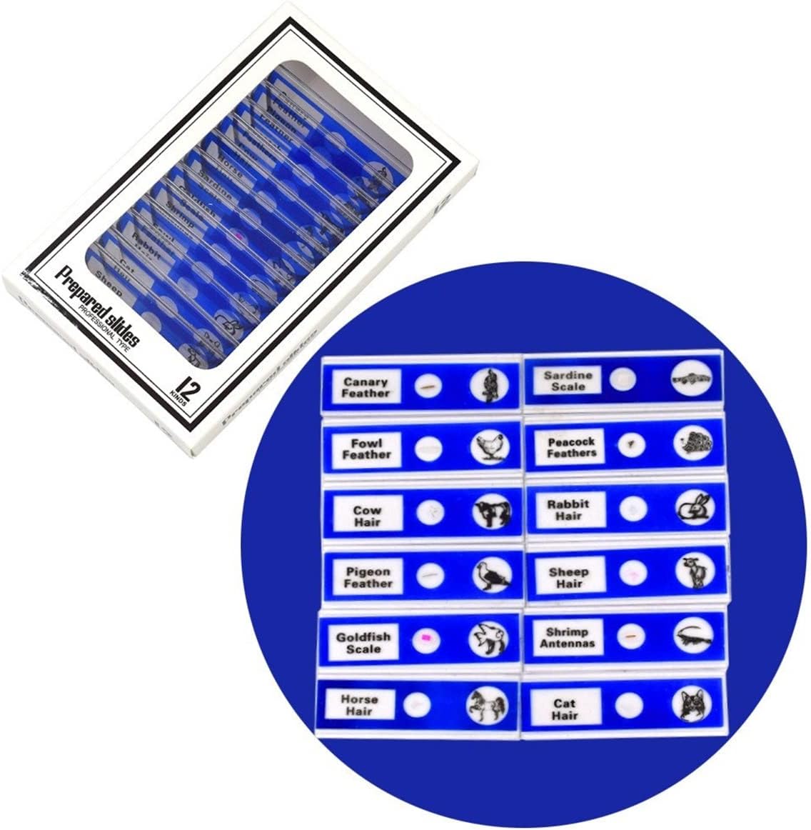 Microscopes Equipment 12pcs/Set Plastic Microscope Slides Biological Specimen
