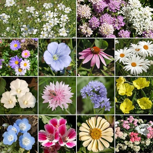 Image of Ferry-Morse Pastel Bulk Wildflower Seeds, 230,000+, 1 lb