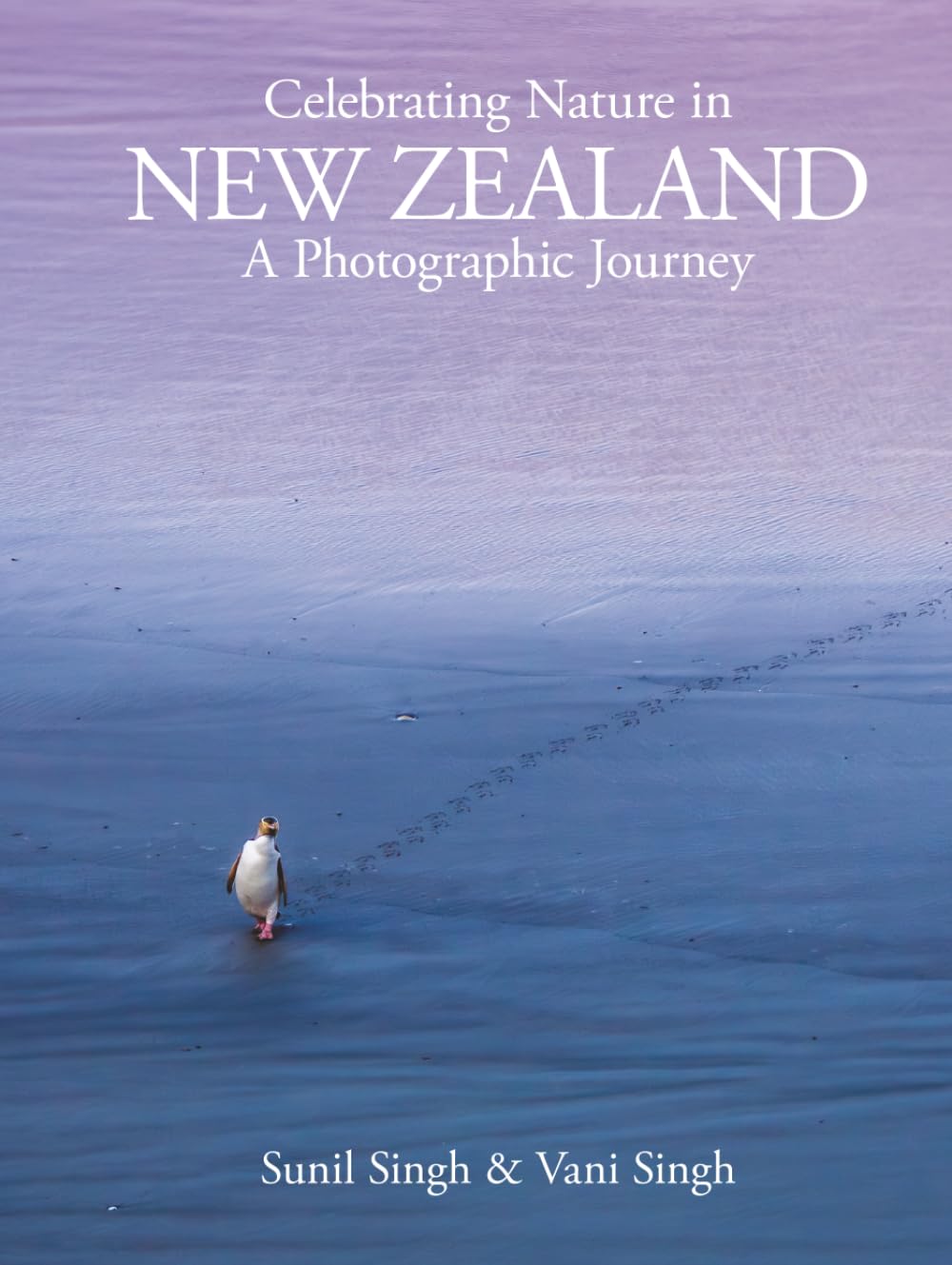 Celebrating Nature in New Zealand: A Photographic Journey