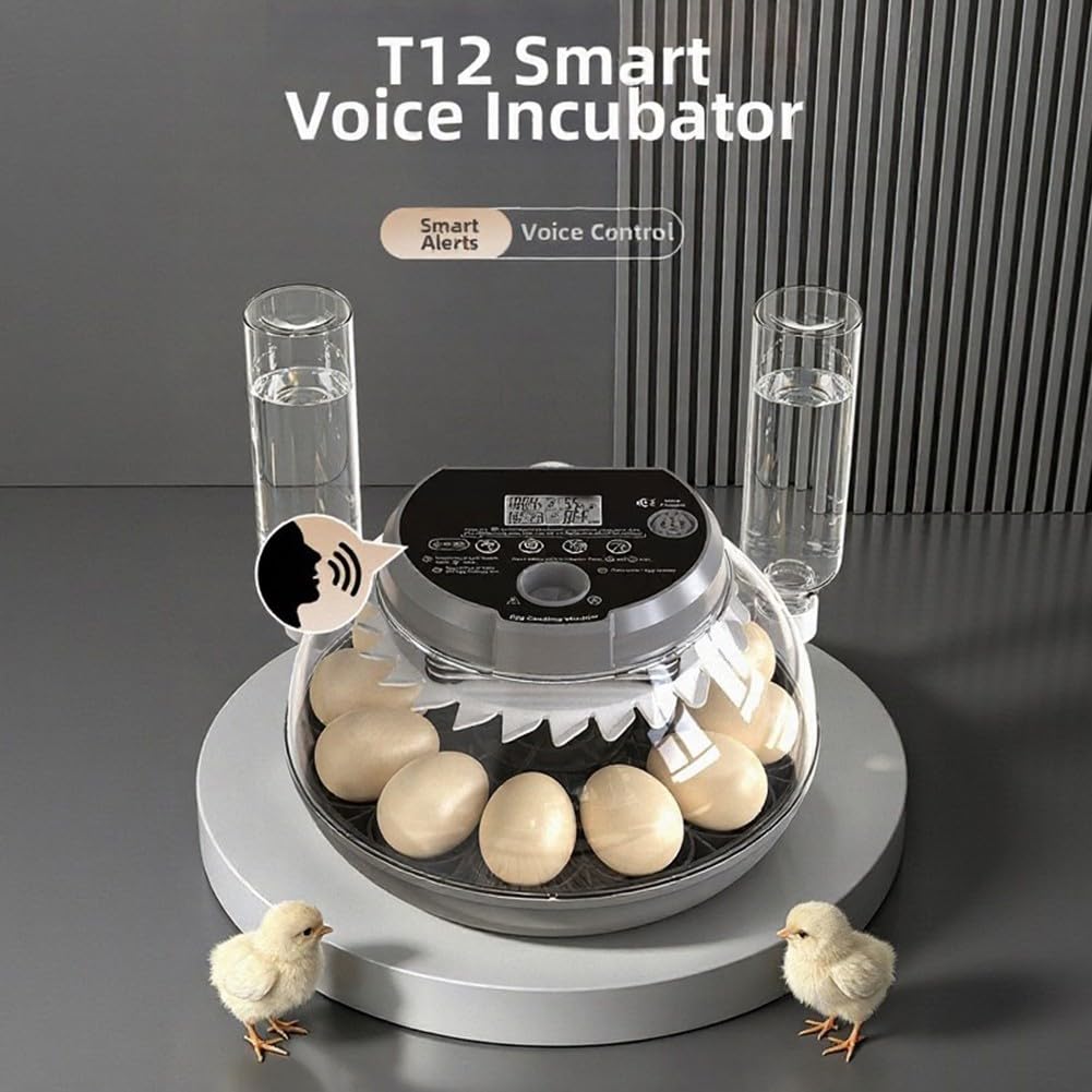 Incubatrice Quaglia 12 Uova Temperatura Controllata(US-standard 2-pin)