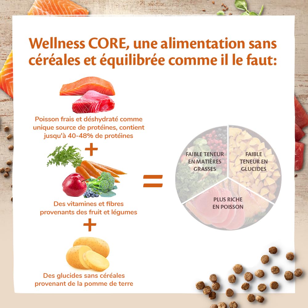 WELLNESS CORE Océan Stérilisé 4 kg, Saumon – Croquettes pour Chats Stérilisés, sans Céréales, Naturelles, Hypoallergénique, Riche en protéines, À Haute Teneur en Poisson, Peau Saine & Pelage Brillant