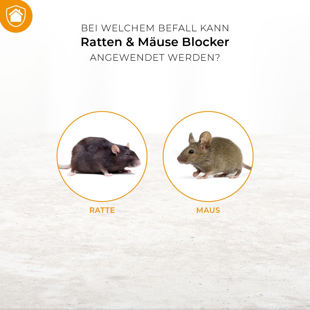 PROTECT HOME Ratten & Mäuse Blocker vertreibt Ratten und Mäuse zuverlässig mit sofortiger Wirkung und bis zu 2 Monate Dauerwirkung, 300 g
