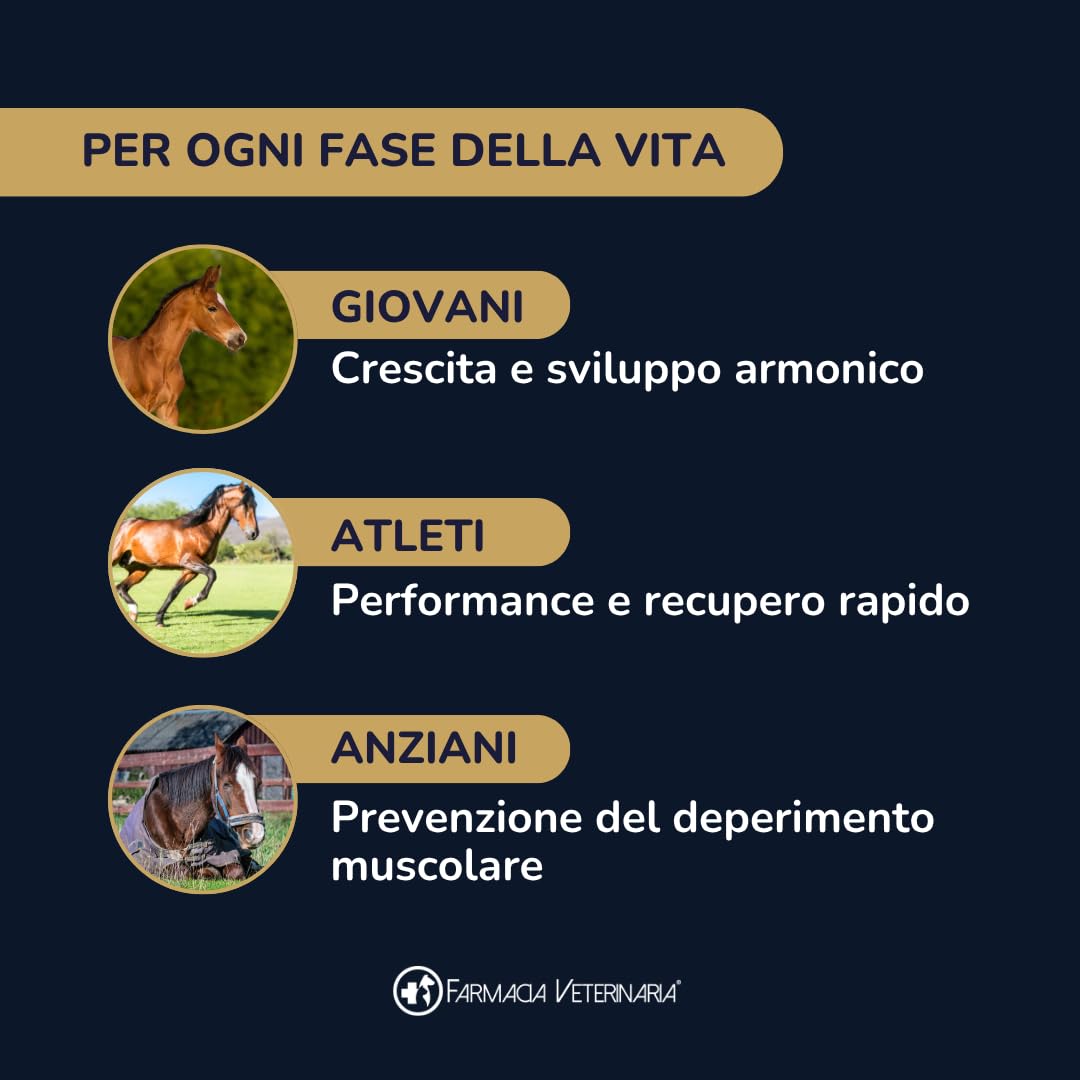 Equiforza Total Integratore in Polvere per Cavalli con BCAA, L-Carnitina, Gamma Orizanolo e Spirulina, Sviluppo Muscolare, Energia e Recupero, 1,5 kg