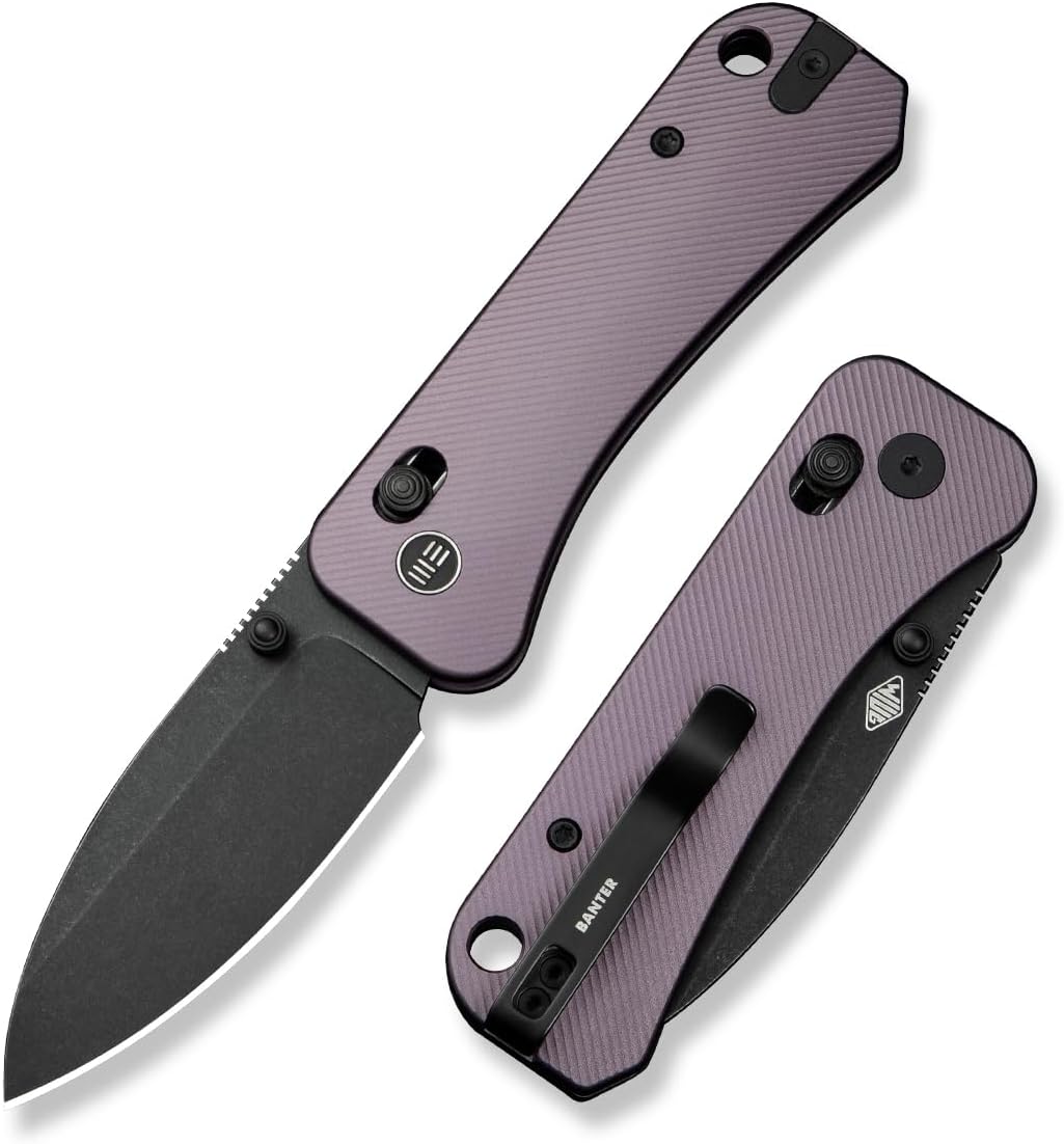 WeKnife Banter 2 Pocket Knife for EDC, Crossbar Lock Folding Knife with 2.87" CPM S35VN Steel Blade Aluminum Handle, Designed by Ben Petersen WE23075-1(Blue)