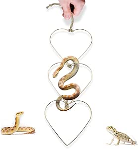 Amazon.com: Adjustable Snake Climbing Links for Ball Pythons & Corn ...