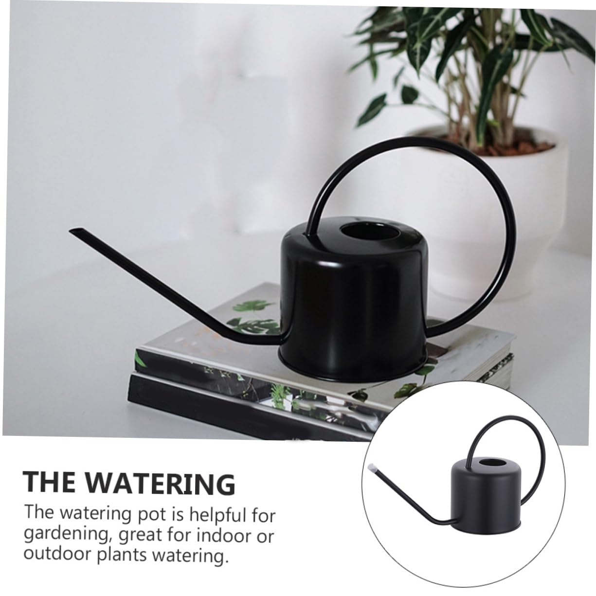 Arrosoir Long Bec en Acier Inoxydable Noir 1, 3 L pour Jardin