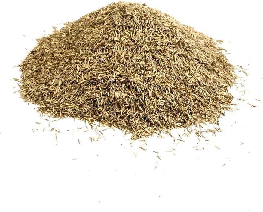 Back Lawn Grass Seed 200g Hard Wearing (Covers 4 Square metres) SLMH
