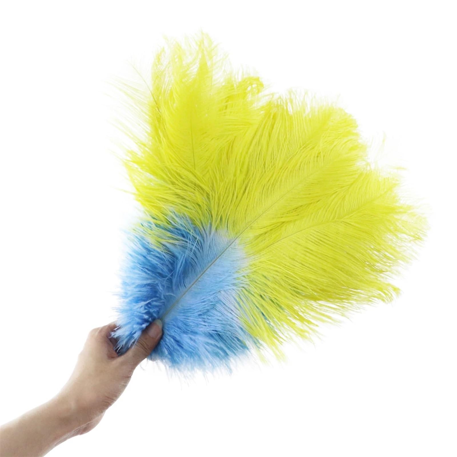 Ostrich feather, Feather, Arts,Crafts & Sewing Bicolor Ostrich Feather Decorative Vase Natural Decoration Trays For Centercenter Wedding Feathers Accessories Home Decor ( Color : 01 , Size : 30-35cm )