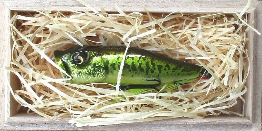 メガバス WOODY POPX CHART BELLYBASS ルアー メガバス WOODY POPX CHART BELLYBASS ルアー BABY POPX