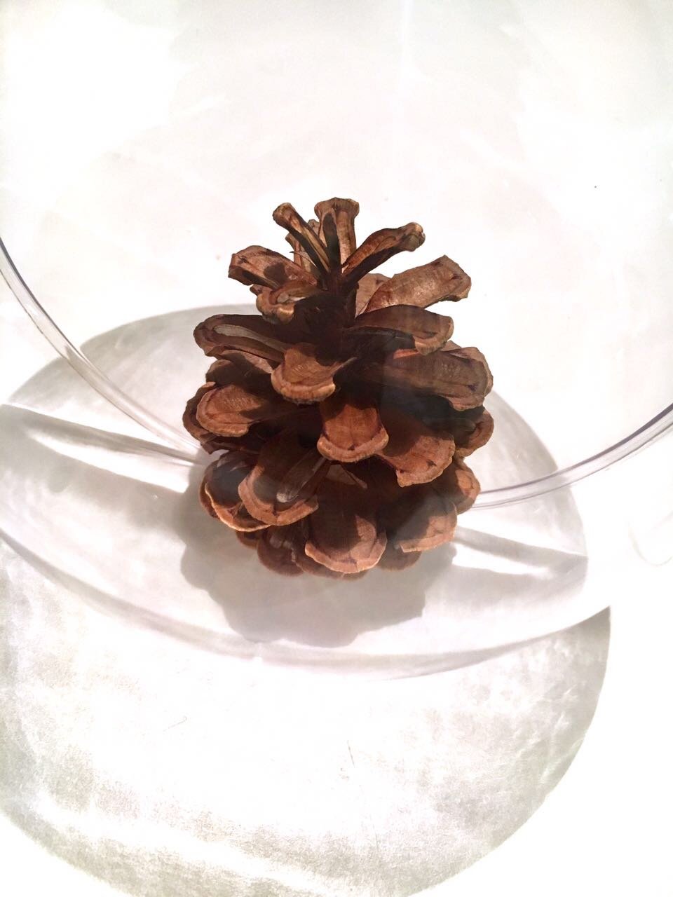 Produktbild von CRYSTAL KING Bastel-Set: 20 Durchsichtige Acrylkugeln, 6cm Ø, Teilbar & Befüllbar – Für Weihnachten, Deko & Garten