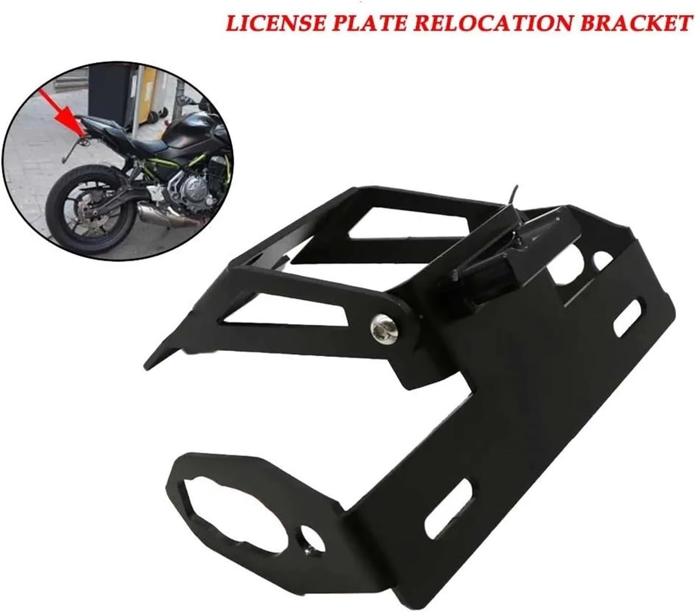 村長の直売所 ビカクシダ モリフィー2 仮名 ビカクシダ モリフィー2