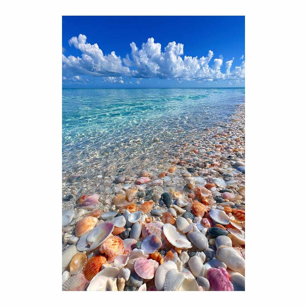 HOQIU Wall art for home decor Turquoise SeaShells Beaches canvas artwork for wall, art prints, For living room, bedroom, bathroom, dining room, painting and decor.(Multicolor)-80x120cm Unframed