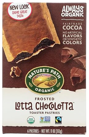 Natures Path Frosted Chocolate Toaster Pastry 24x 11 Oz