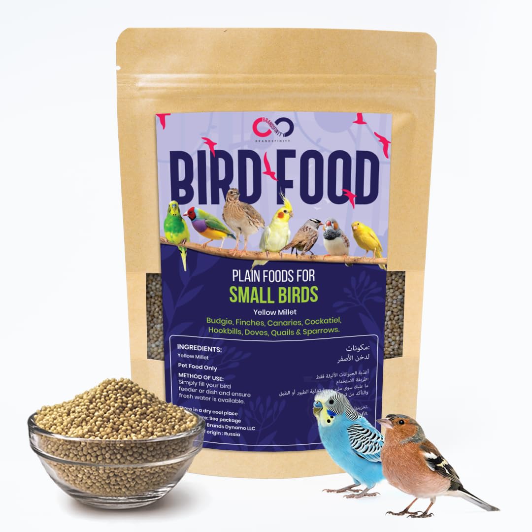 BRANDSFINITY1.2kg Plain Food for Small Birds, 100% Yellow Millet Seeds, Ideal for Budgies, Canaries, Love Birds, Zebra Finches, Easy-to-Serve Bird Feed for Bird Feeders and Outdoor Bird Houses