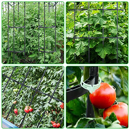 2 Pack Garden Trellis, 60" Tomato Cage Tall Plant Support Climbing Vines Flowers Stands, 2 In 1 Plant Cages & Supports For Vines, Vegetable, Flowers, Potted Plants With 30Pcs Plant Clips #TOP5