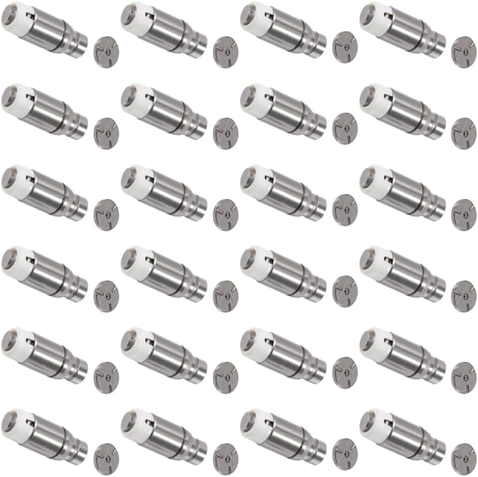 ROADFAR 24 Pack Hydraulic Valve Adjuster Valve Lifter Fits For Chrysler Series For Dodge For Plymouth Prowler Replaces LF30135 LIF1145 LIF7008-24 LIF096-4