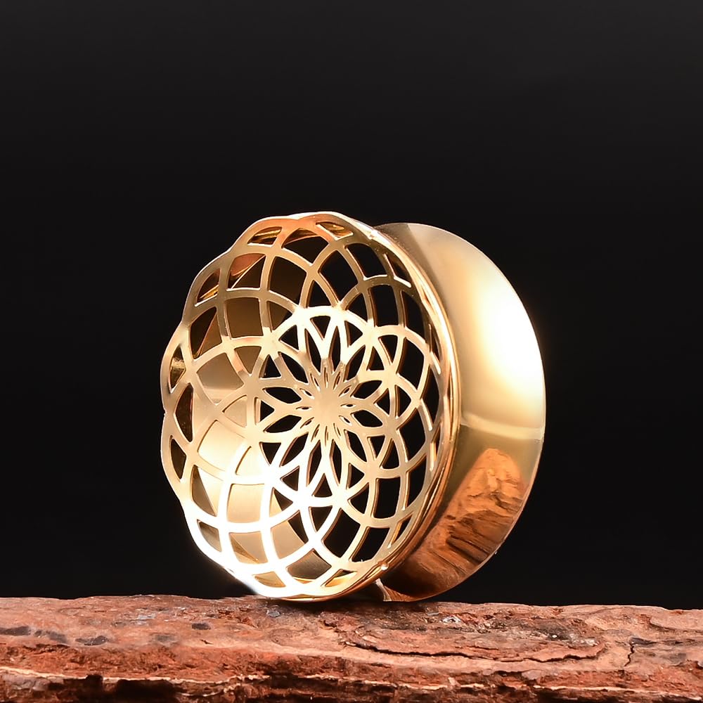 Vankula Ohr Flesh Tunnel Double Flared Plug Hohl Edelstahl für Gestreckte Expander Ohrpiercing 8mm bis 19mm