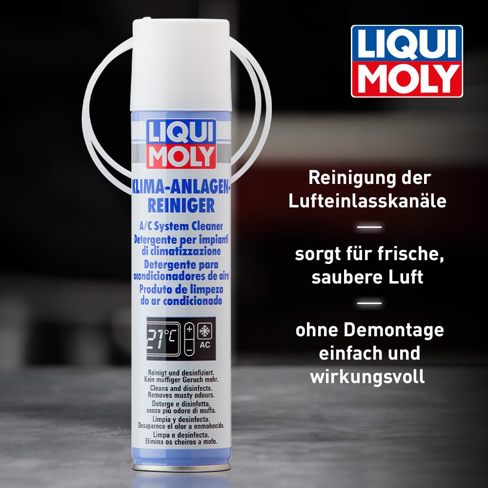 Liqui Moly 4087 Klimareglergerät-Reiniger 250 ml